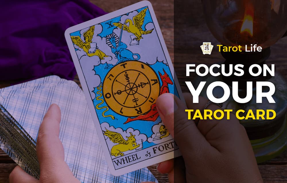 focus on your tarot cards